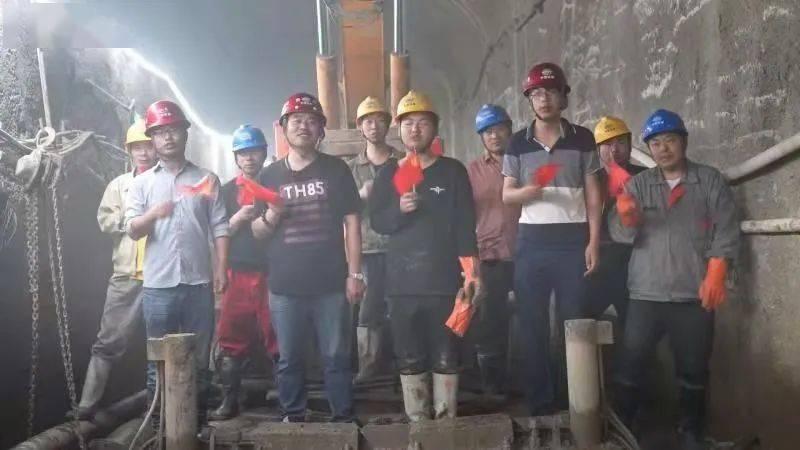 公猫母猫哪个好养